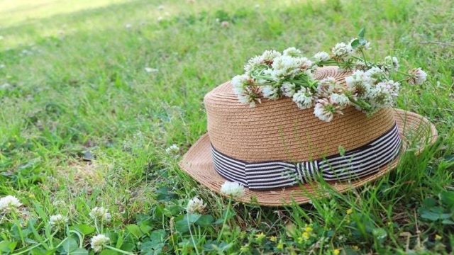 森ガールファッション 基礎知識やおすすめブランド 3選 Cocotte